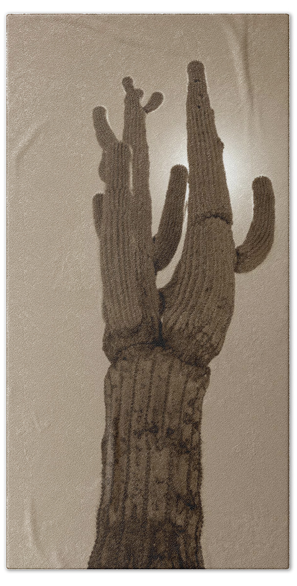 Desert Bath Towel featuring the photograph Desert cactus by Darrell Foster