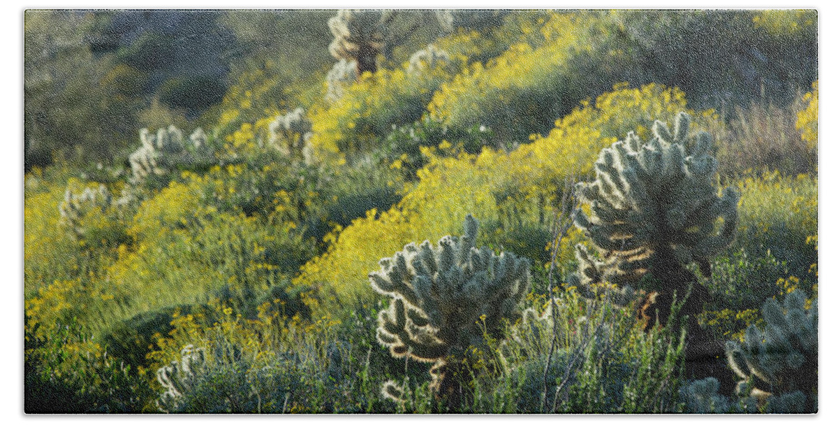 Spring Hand Towel featuring the photograph Desert Color and Light by Sue Cullumber