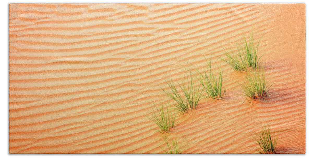 Dubai Bath Towel featuring the photograph Desert grass by Alexey Stiop