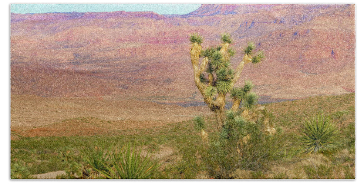 Desert Scene Near Grand Canyon West Bath Towel featuring the photograph Desert Scene Near Grand Canyon West by Bonnie Follett