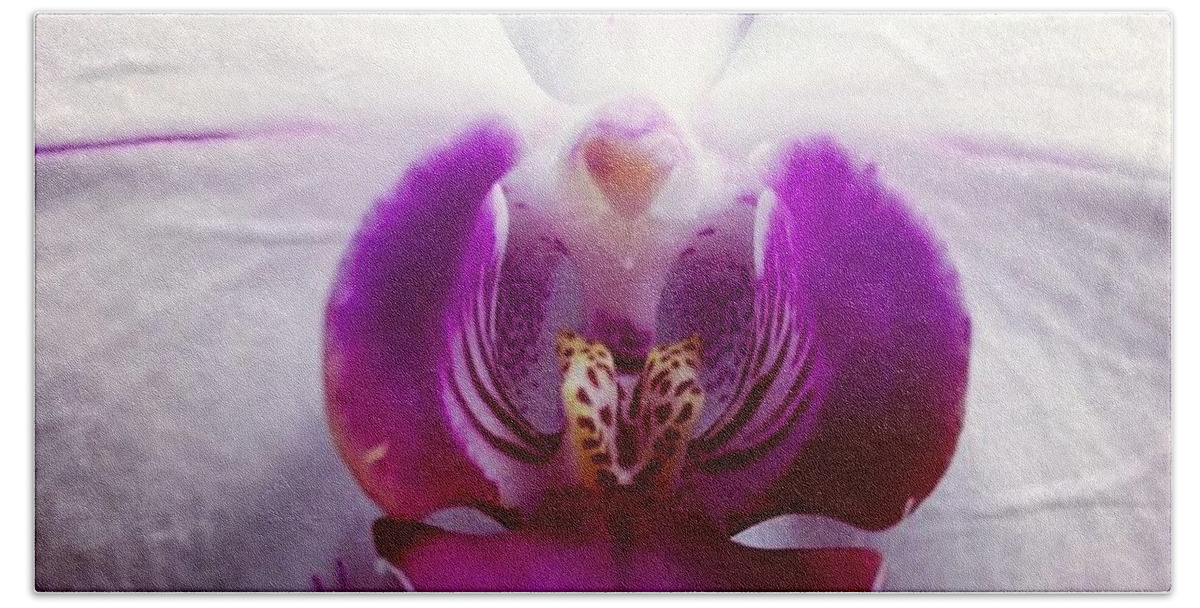 Orchid Bath Towel featuring the photograph Love by Denise Railey