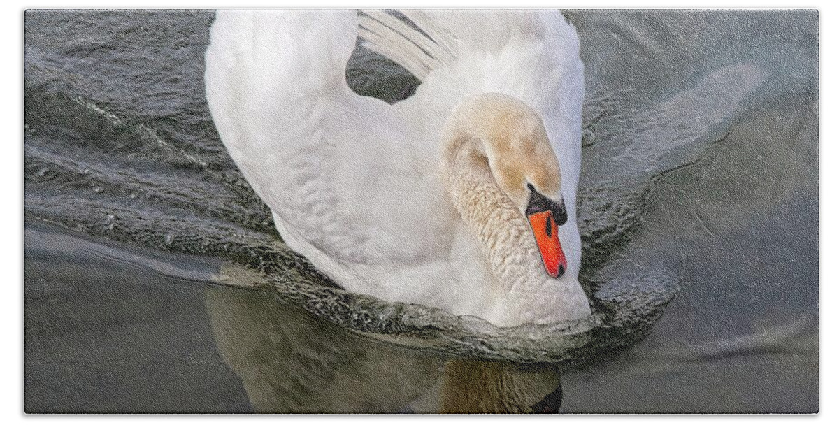 Swan Bath Towel featuring the photograph Determination by Tatiana Travelways