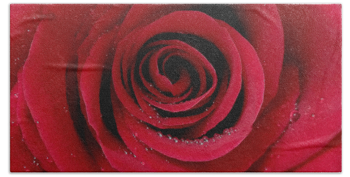 Red Bath Towel featuring the photograph Dew Drop Rose by ChelleAnne Paradis