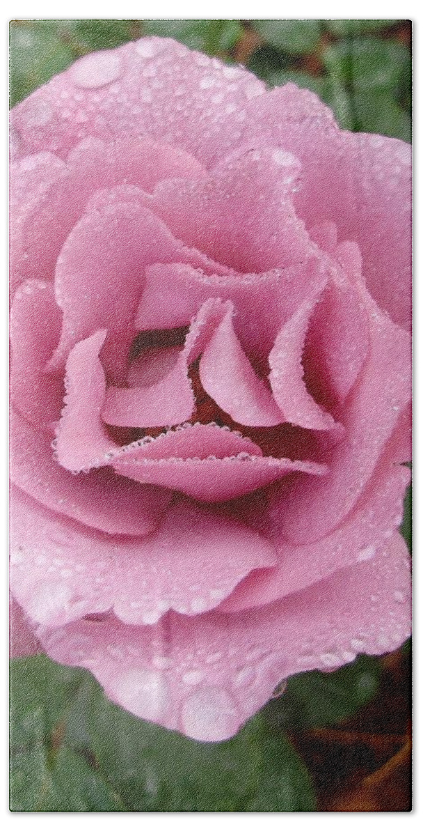 Flowers Hand Towel featuring the photograph Dew Kissed Angel by Anjel B Hartwell