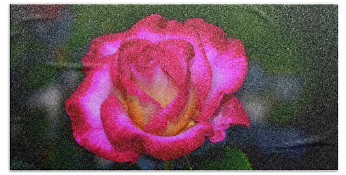 Flower Bath Towel featuring the photograph Dick Clark Rose 002 by George Bostian