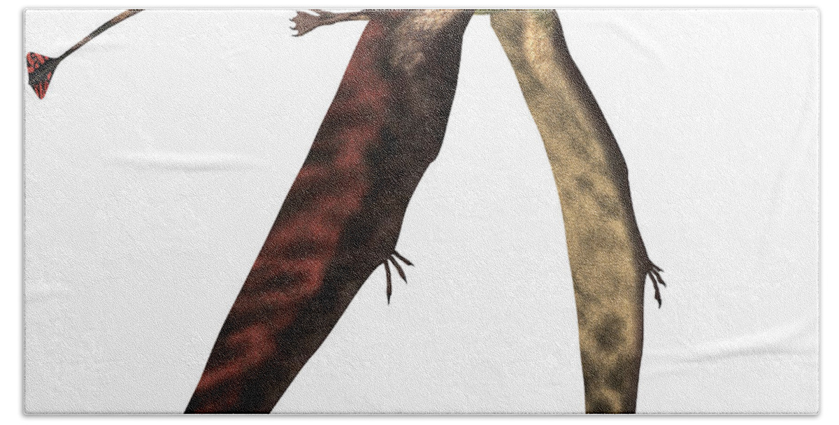 Dimorphodon Hand Towel featuring the painting Dimorphodon in Flight by Corey Ford