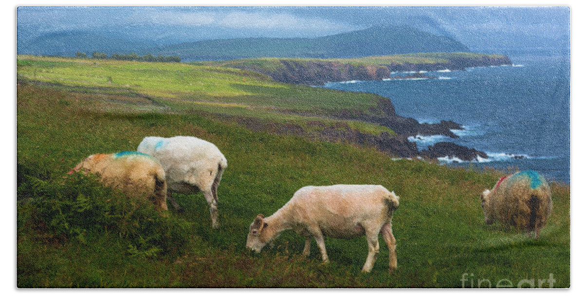 Dingle Bath Towel featuring the photograph Dingle Ireland by Andrew Michael