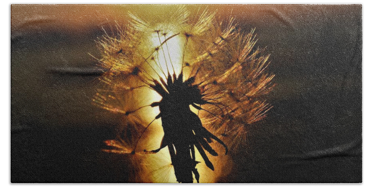 Sunset Bath Towel featuring the photograph Dandelion Sunset by Jerry Connally