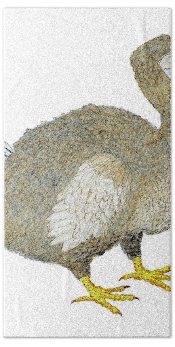 Dodo Hand Towel featuring the painting Dodo Bird Protrait by Thom Glace