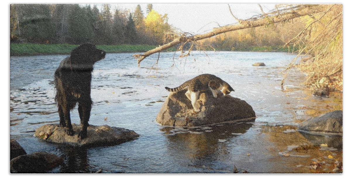 Dog Bath Sheet featuring the photograph Dog and Cat Exploring Rocks by Kent Lorentzen
