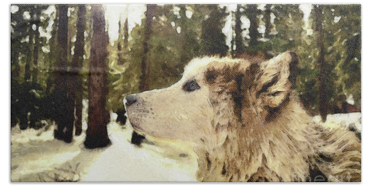 Dog Bath Towel featuring the photograph Dog In Winter Woods by Phil Perkins