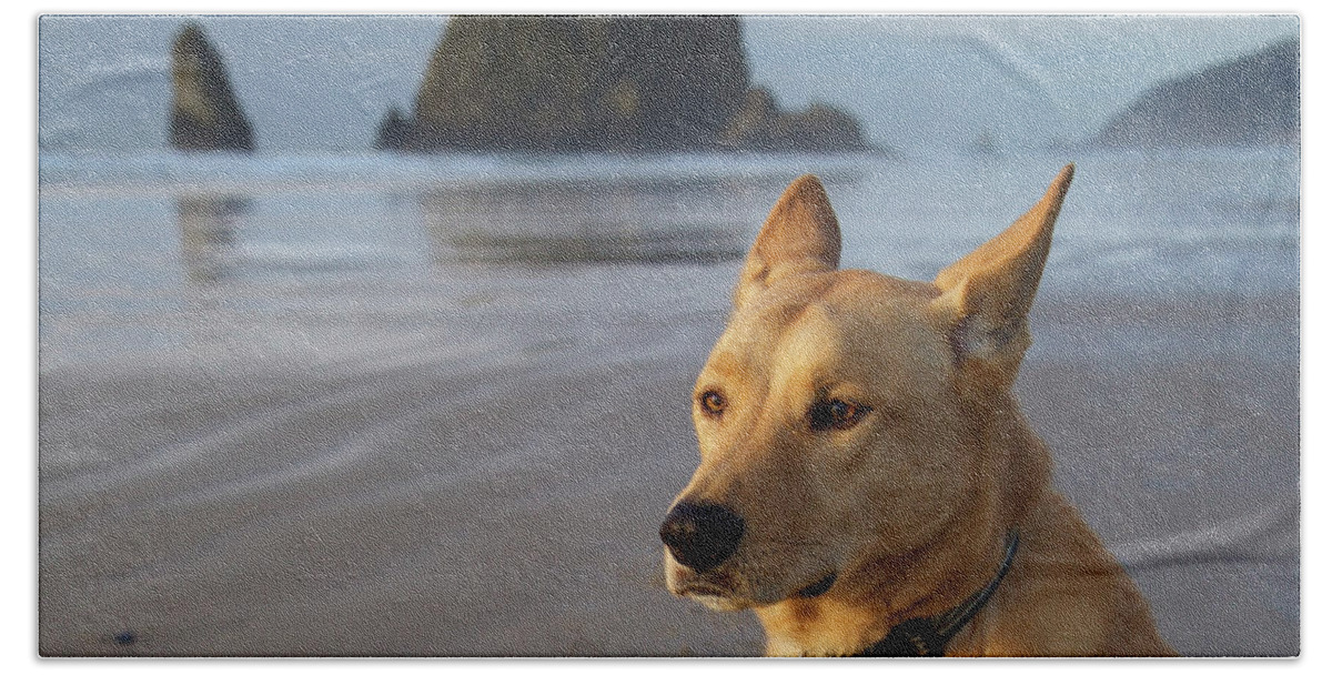 Dog Bath Towel featuring the photograph Dog Portrait @ Cannon Beach by Bruce Block