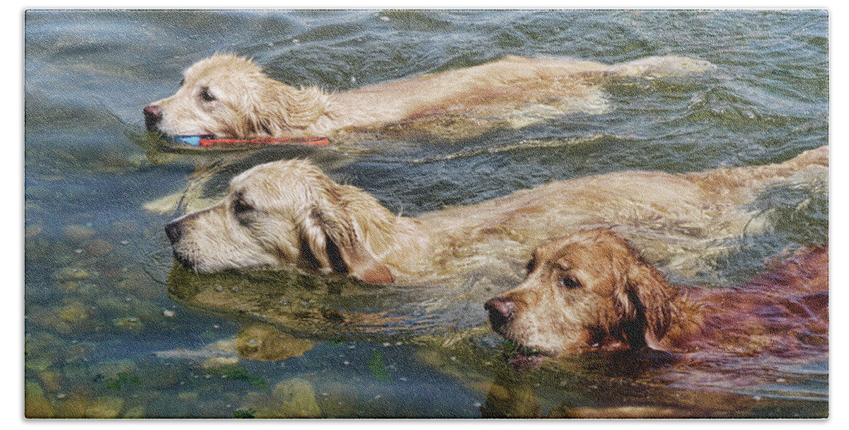 Swimming Bath Towel featuring the photograph Dogs Are People Too by Lawrence Christopher