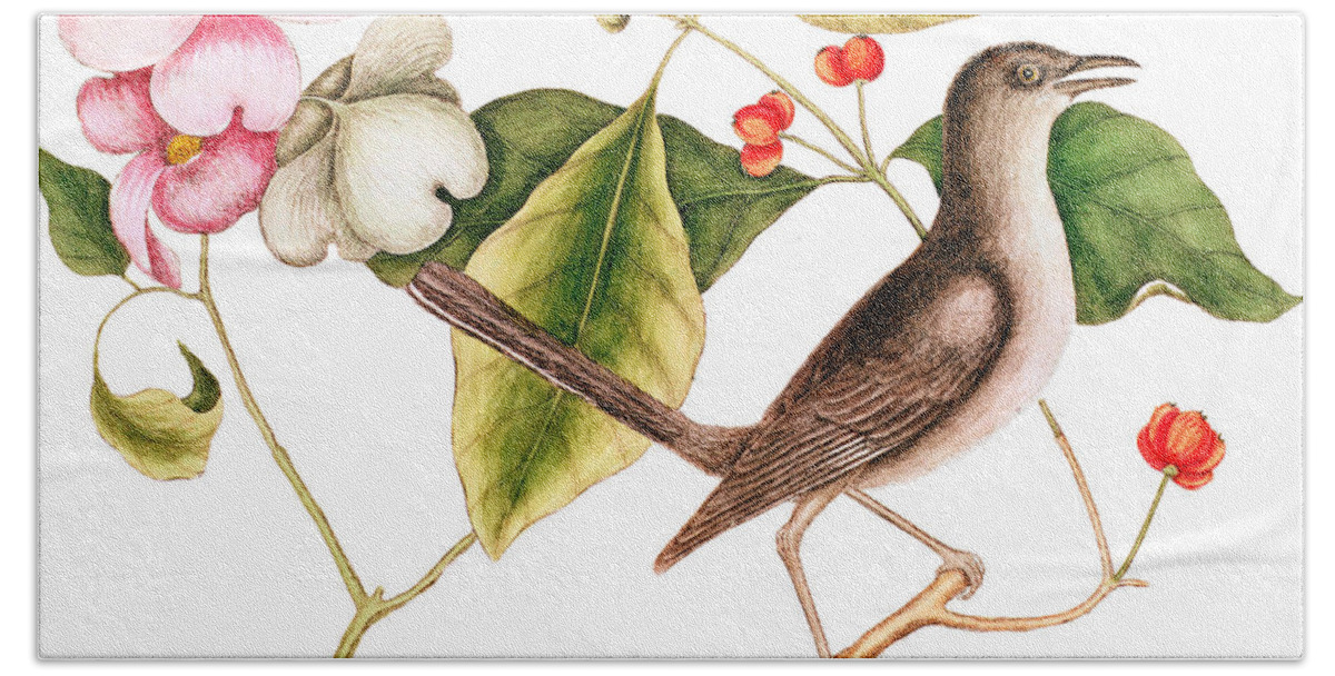 Mockingbird Hand Towel featuring the painting Dogwood Cornus florida, and Mocking Bird by Mark Catesby