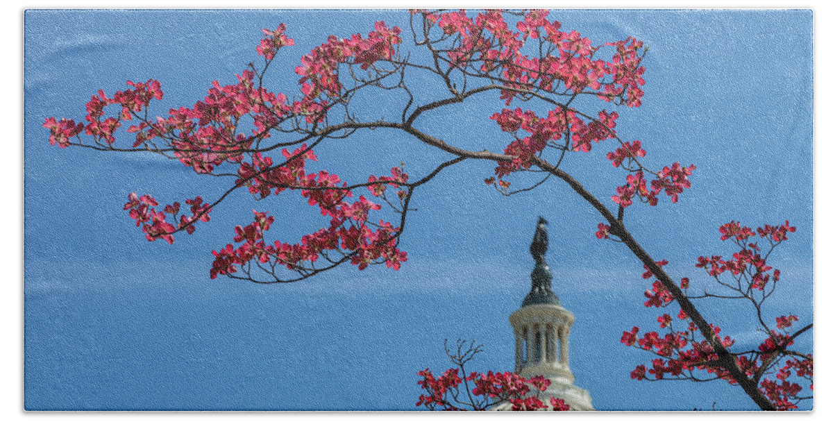 City Bath Towel featuring the photograph Dogwood Over The Capitol by Jonathan Nguyen
