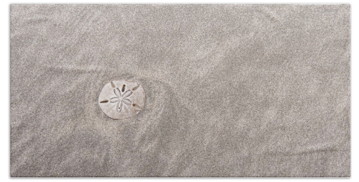 Sand Bath Towel featuring the photograph Dollar in the Sand by David Arment