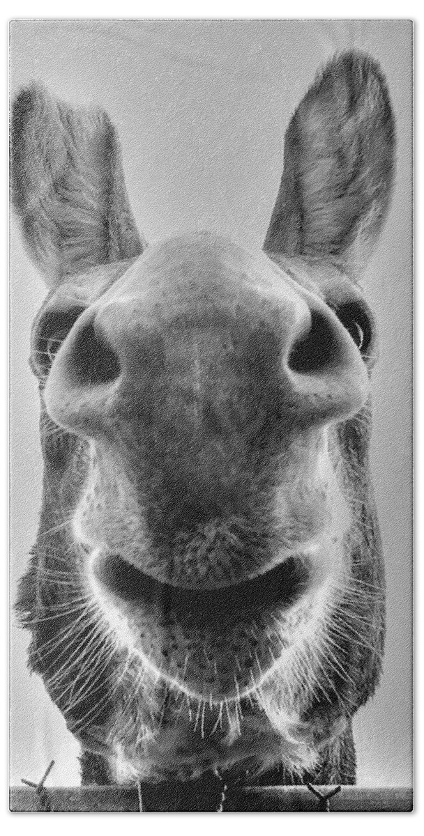 Donkey Bath Towel featuring the photograph Donkey by Charlotte Schafer