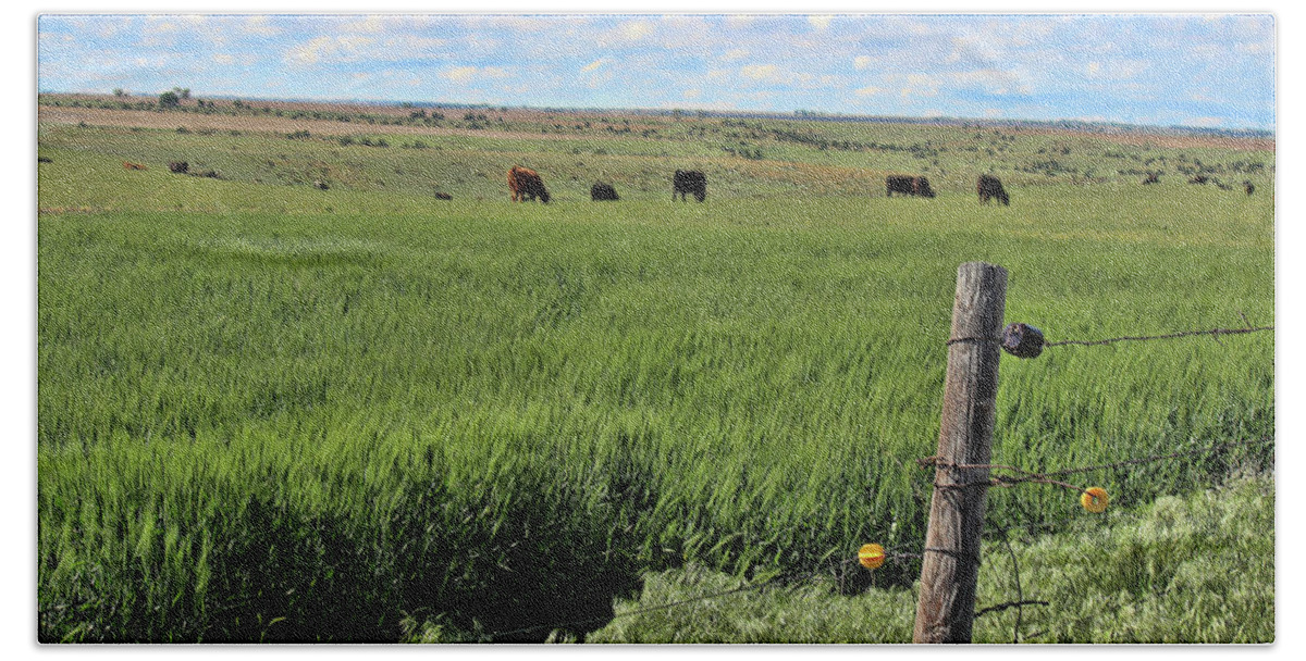 Nebraska Hand Towel featuring the photograph Don't Fence Me In by Sylvia Thornton