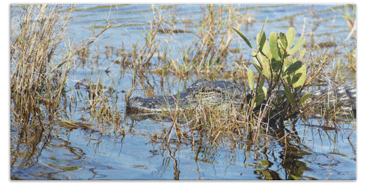 Darin Volpe Animals Bath Towel featuring the photograph Don't Think I Don't See You There - American Alligator at Merritt Island National Wildlife Refuge by Darin Volpe