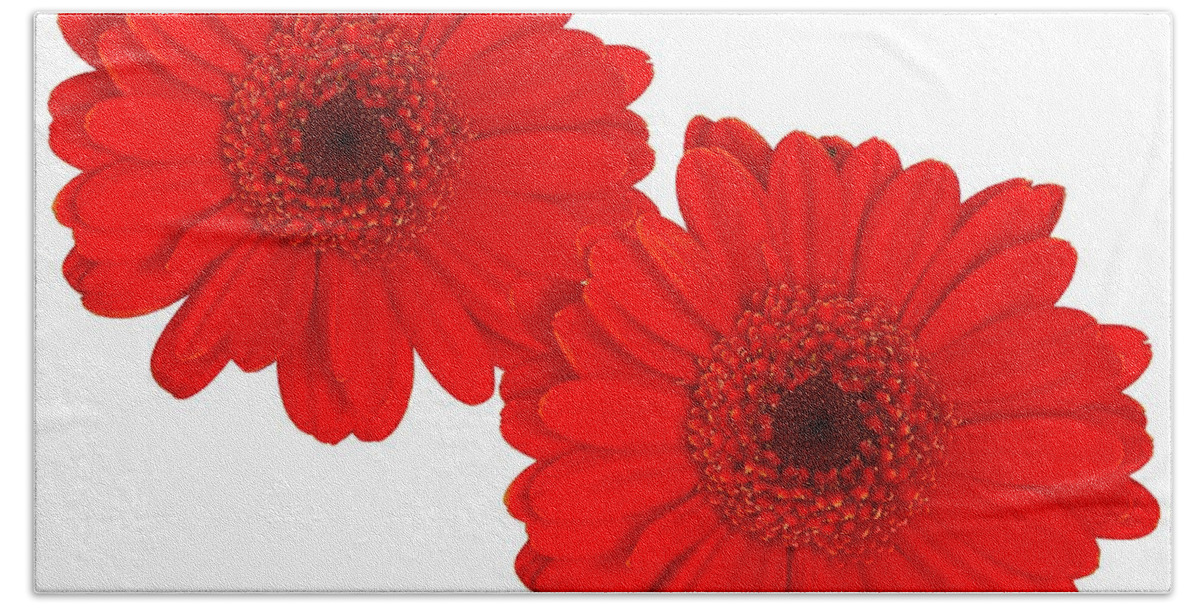 Red Gerbera Daisy Bath Towel featuring the photograph Double Gerbera by Scott Carruthers