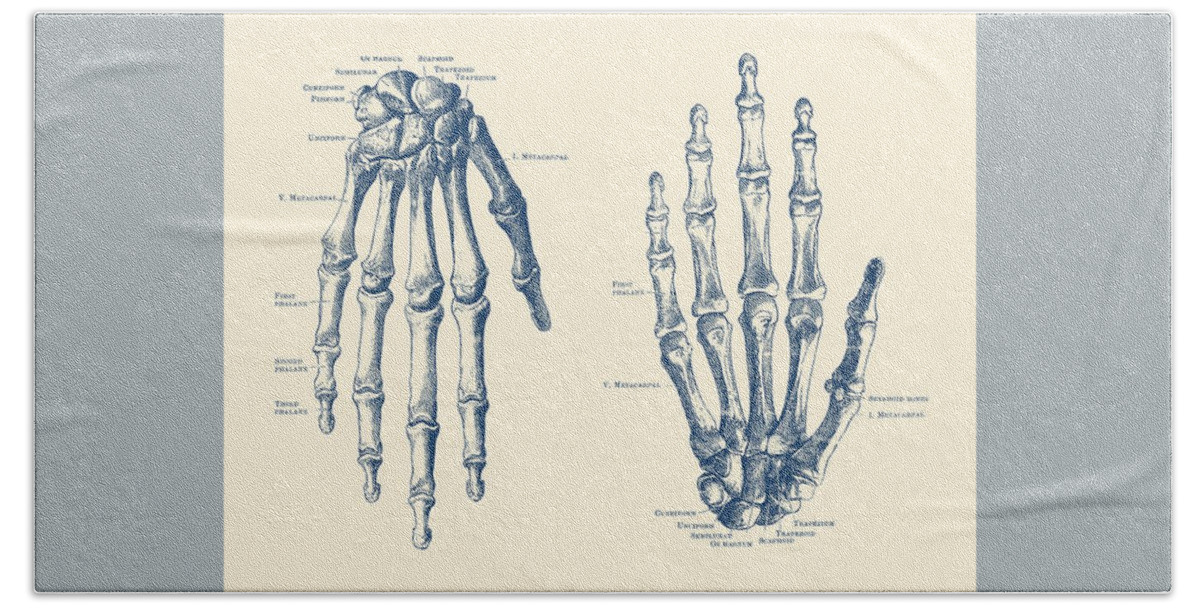 Skeleton Bath Towel featuring the drawing Double Hand Skeletal Diagram - Vintage Anatomy Print by Vintage Anatomy Prints