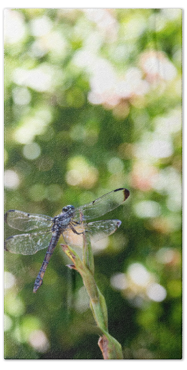 Dragonfly Bath Towel featuring the photograph Dragonfly-1 by Charles Hite