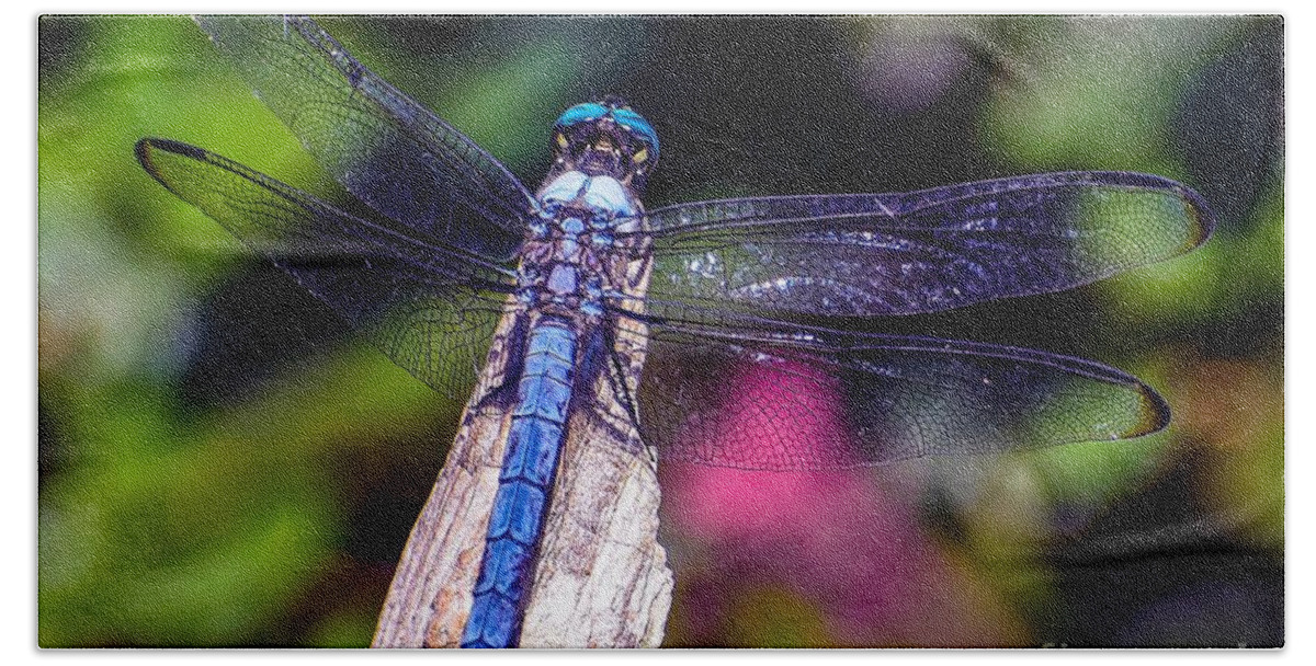 Nature Bath Towel featuring the photograph Dragonfly by DB Hayes