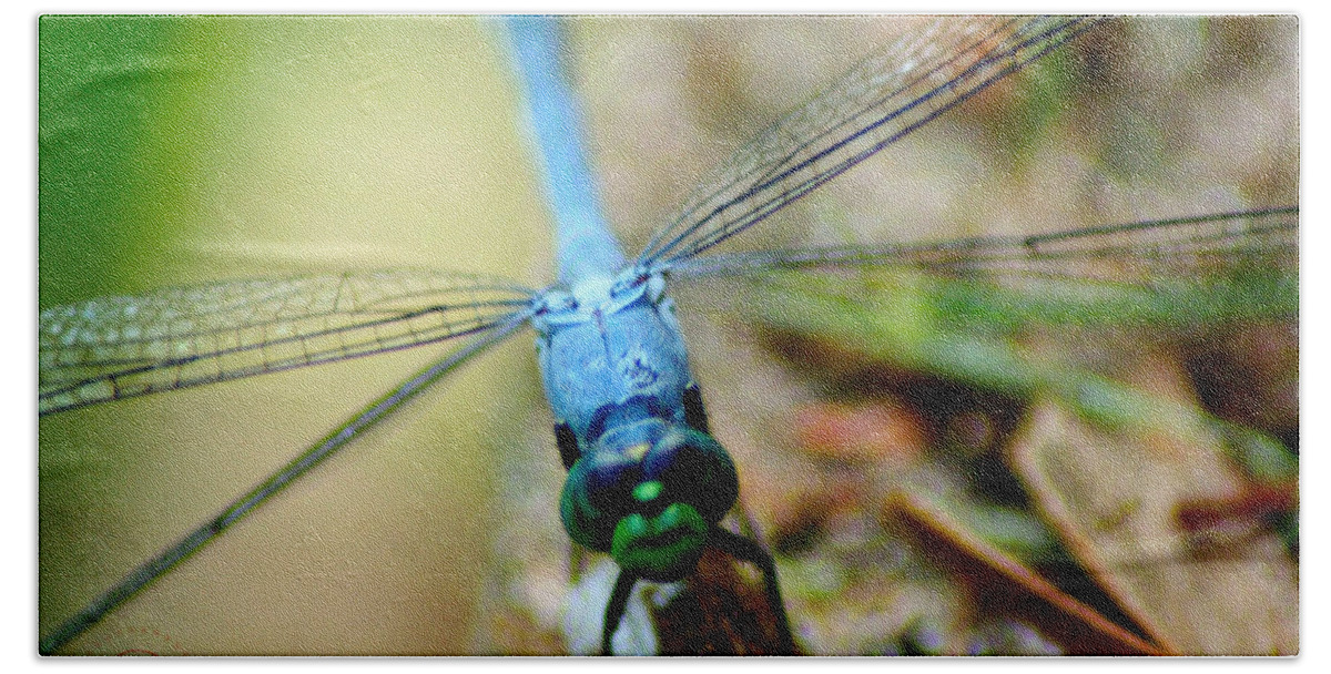 Dragonfly Bath Towel featuring the photograph Dragonfly Closeup by Shelley Overton