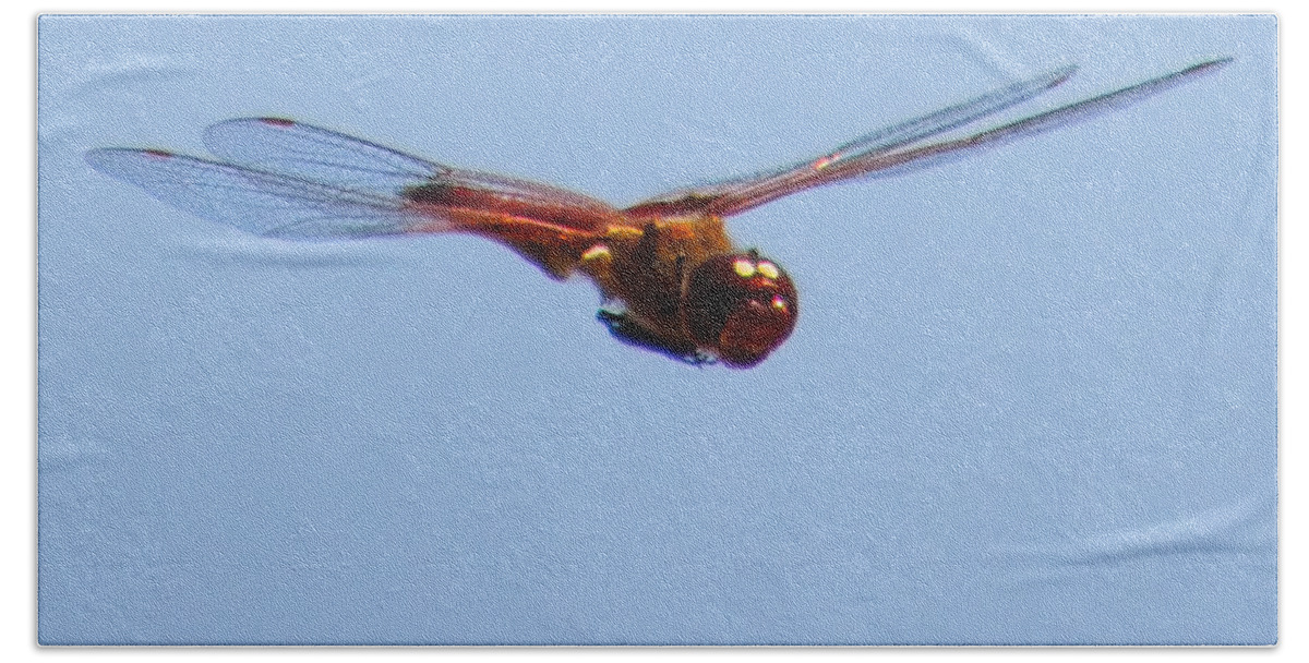Dragonfly Hand Towel featuring the photograph Dragonfly In Flight Close Up by Brian Tada