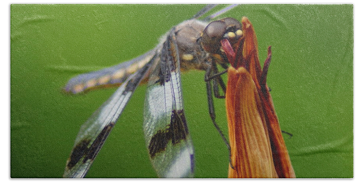 Dragonfly Bath Towel featuring the photograph Dragonfly Portrait 2 by Ben Upham III