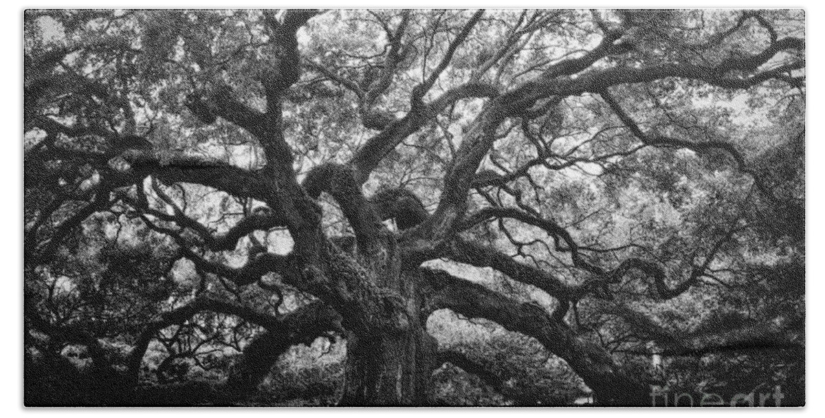 Angel Oak Hand Towel featuring the photograph Dramatic Angel Oak in Black and White by Carol Groenen