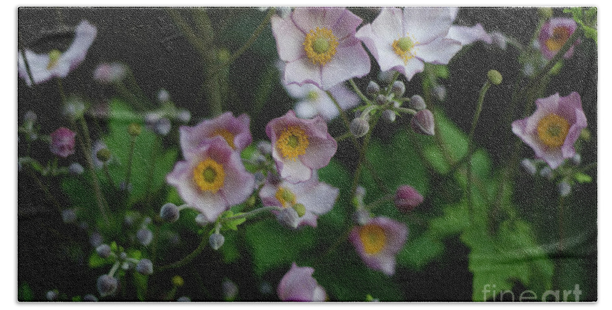 Dreamy Bath Towel featuring the photograph Dreamy Japanese Anemone by Perry Rodriguez