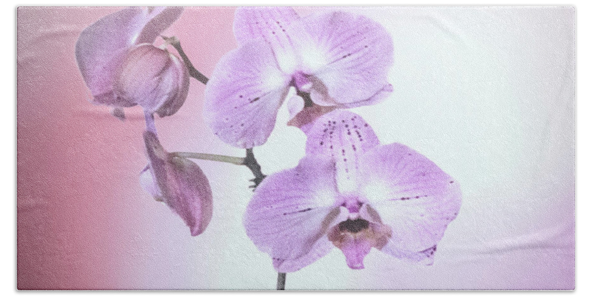 Flowers Hand Towel featuring the photograph Dreamy Pink Orchid by Linda Phelps