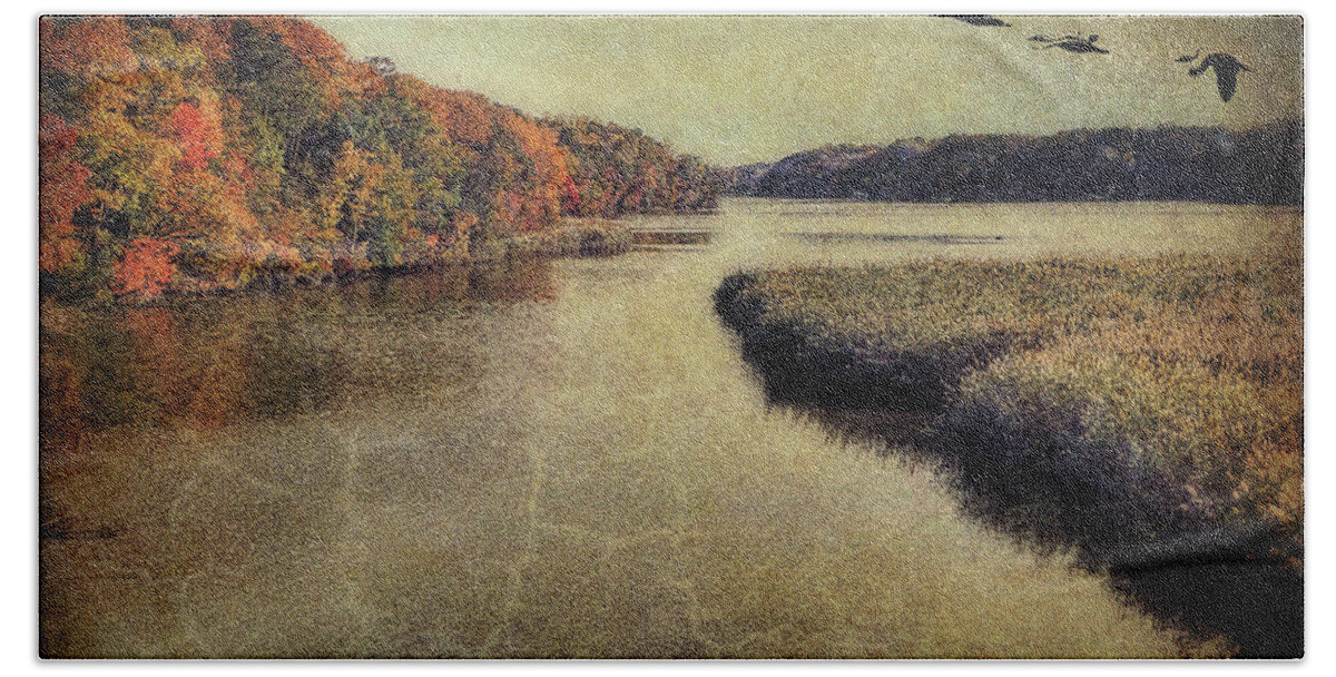 Topaz Hand Towel featuring the photograph Dreary Autumn by Reynaldo Williams