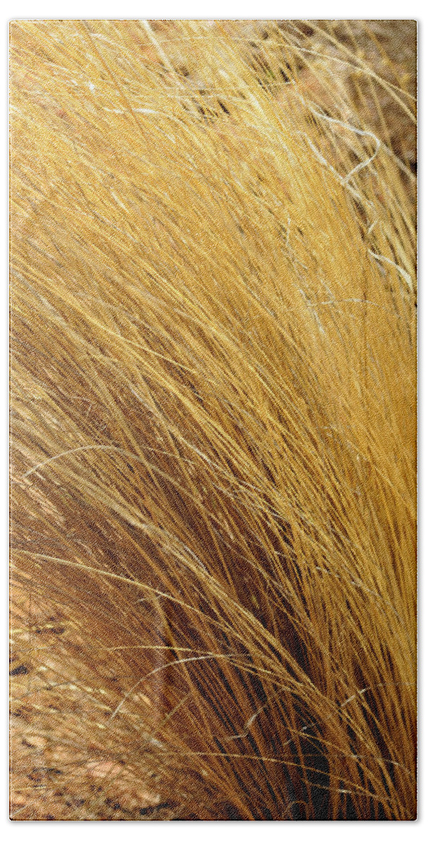 Landscape Hand Towel featuring the photograph Dried Grass by Ron Cline
