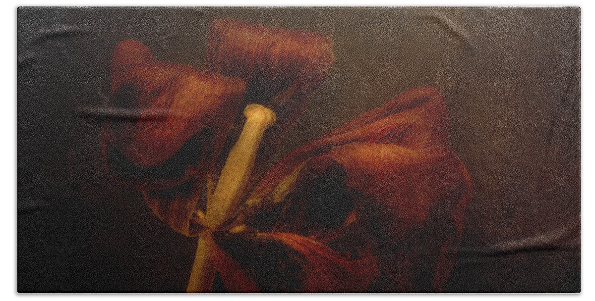 Tulip Blossom Hand Towel featuring the photograph Dried Tulip Blossom 2 by Scott Norris