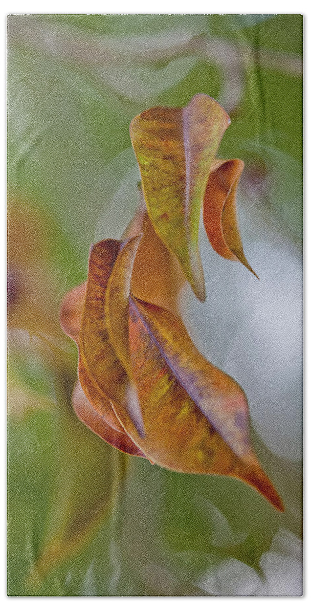 Leaf Hand Towel featuring the photograph Drifting Away by Az Jackson