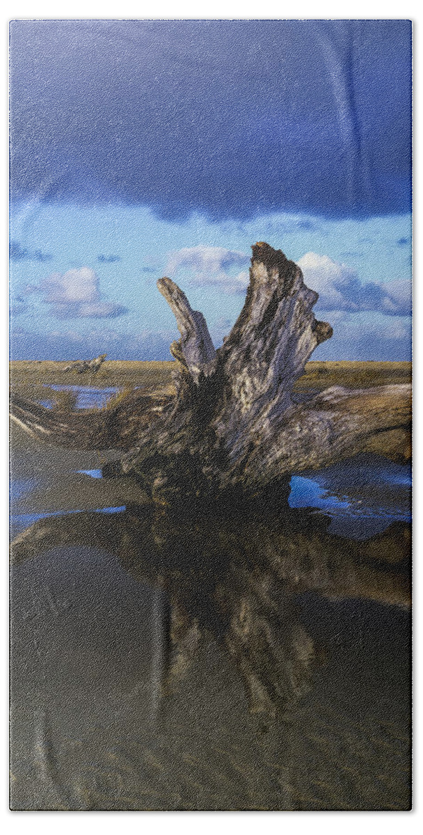 Beaches Hand Towel featuring the photograph Driftwood and Reflection by Robert Potts