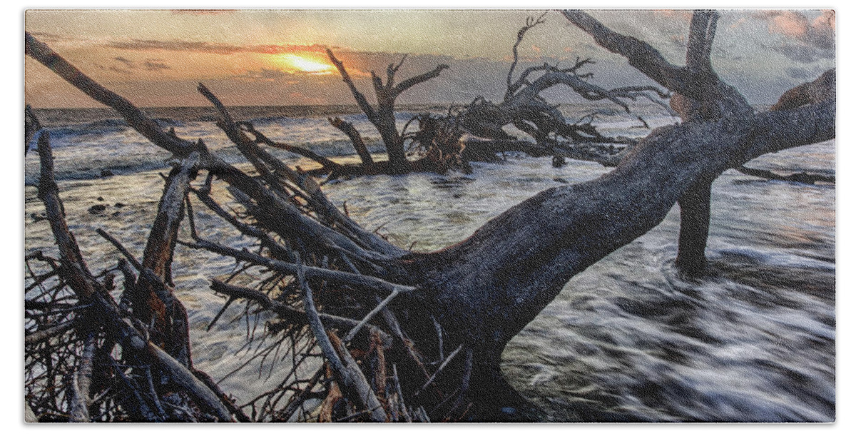 Landscape Hand Towel featuring the photograph Driftwood Beach 4 by Dillon Kalkhurst