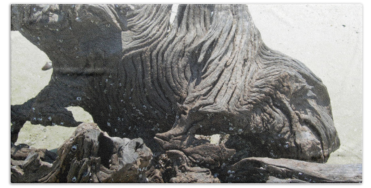 Sand Hand Towel featuring the photograph Driftwood Study 3 by Deborah Ferree