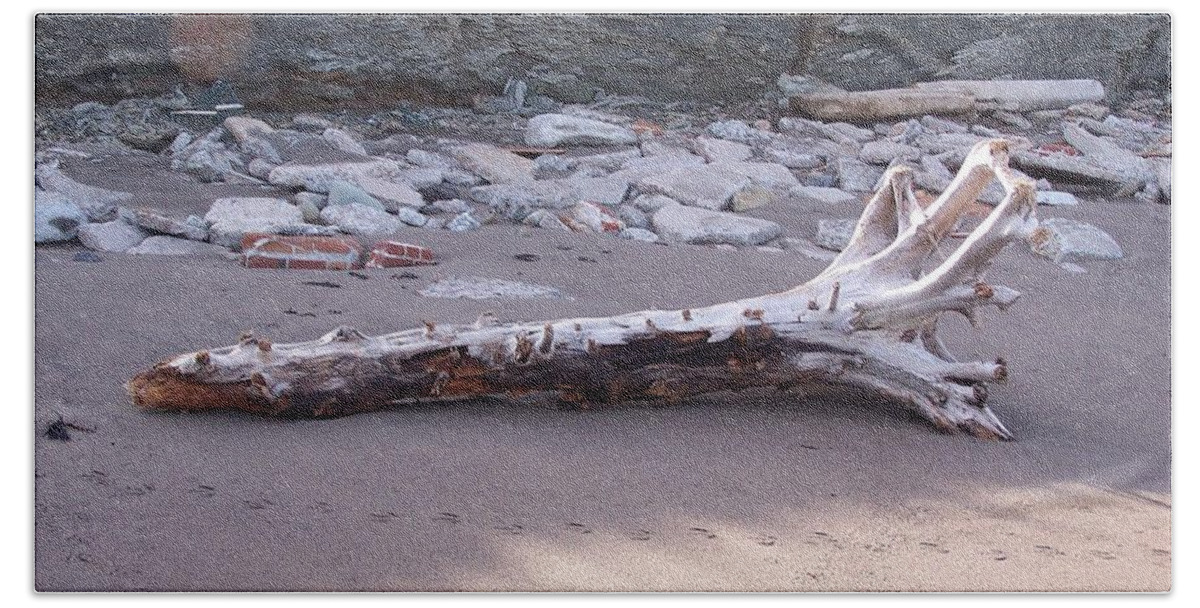 Driftwood Bath Towel featuring the photograph Driftwood by Susan Turner Soulis
