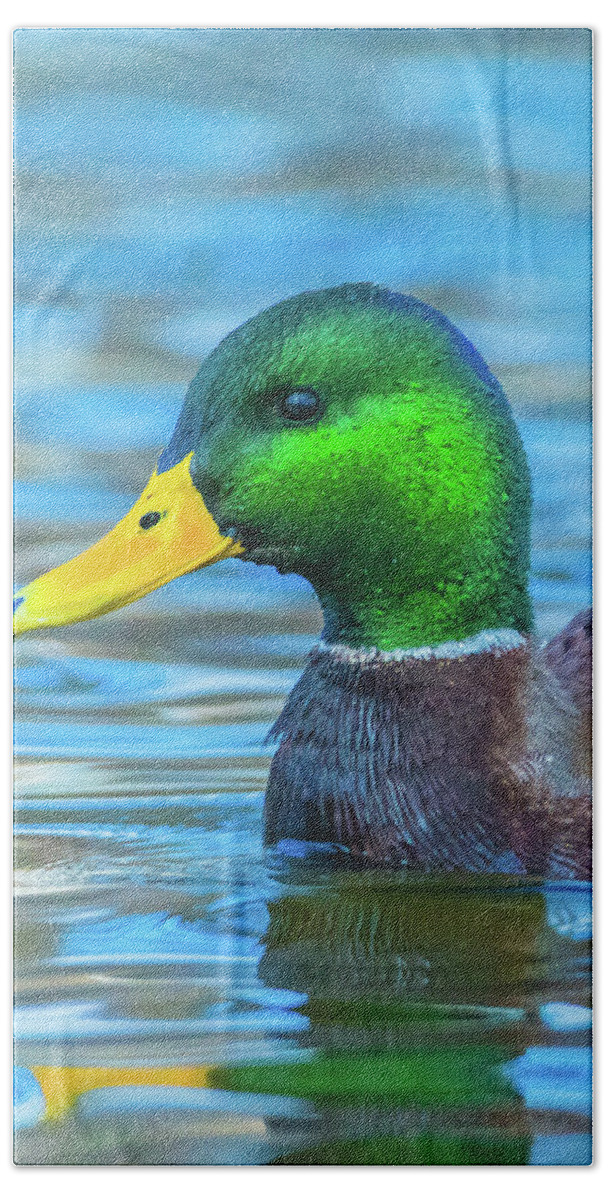 20170128 Hand Towel featuring the photograph Dripping Duck by Jeff at JSJ Photography