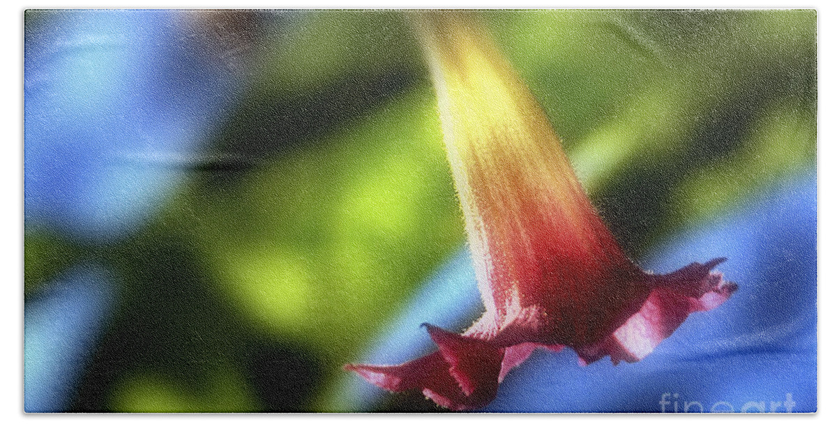 Macro .flower .flowers Bath Towel featuring the photograph Droop by Elaine Manley