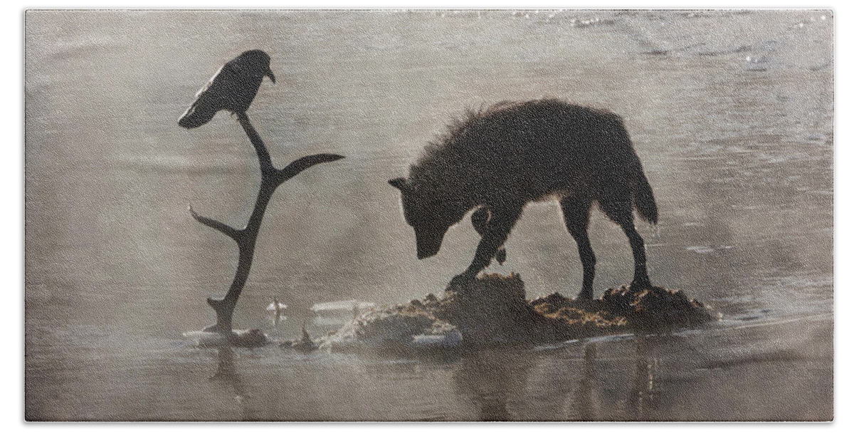 Mark Miller Photos Hand Towel featuring the photograph Druid Wolf and Raven Silhouette by Mark Miller