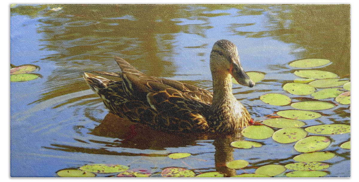 Mallard Duck Hand Towel featuring the photograph Duck and Lily Pads by Susan Lafleur