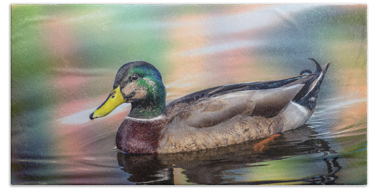 Duck Hand Towel featuring the photograph Duck in water with Autumn colors by Patrick Wolf