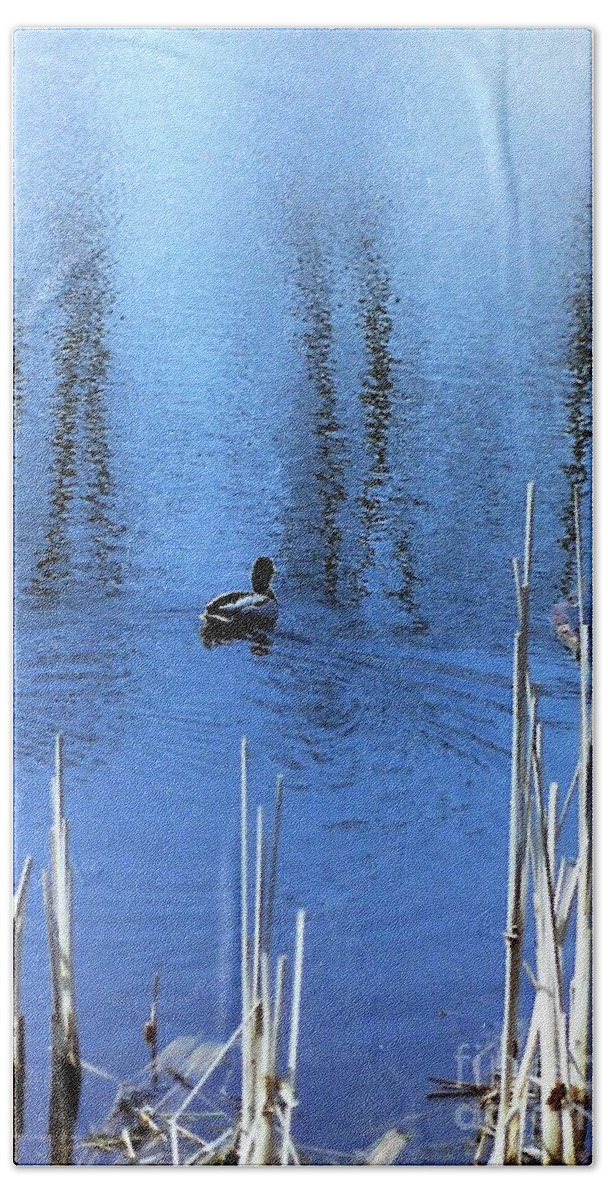 Landscape Bath Towel featuring the photograph Duck pond by Jarek Filipowicz