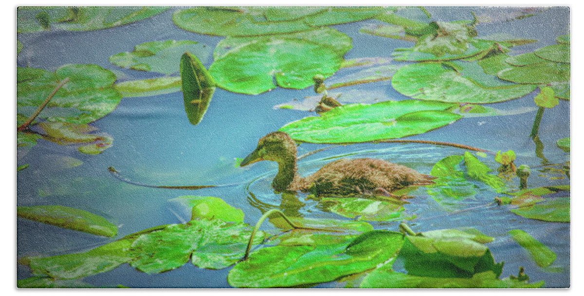 Duck Bath Towel featuring the photograph Duckling In The Green. by Leif Sohlman