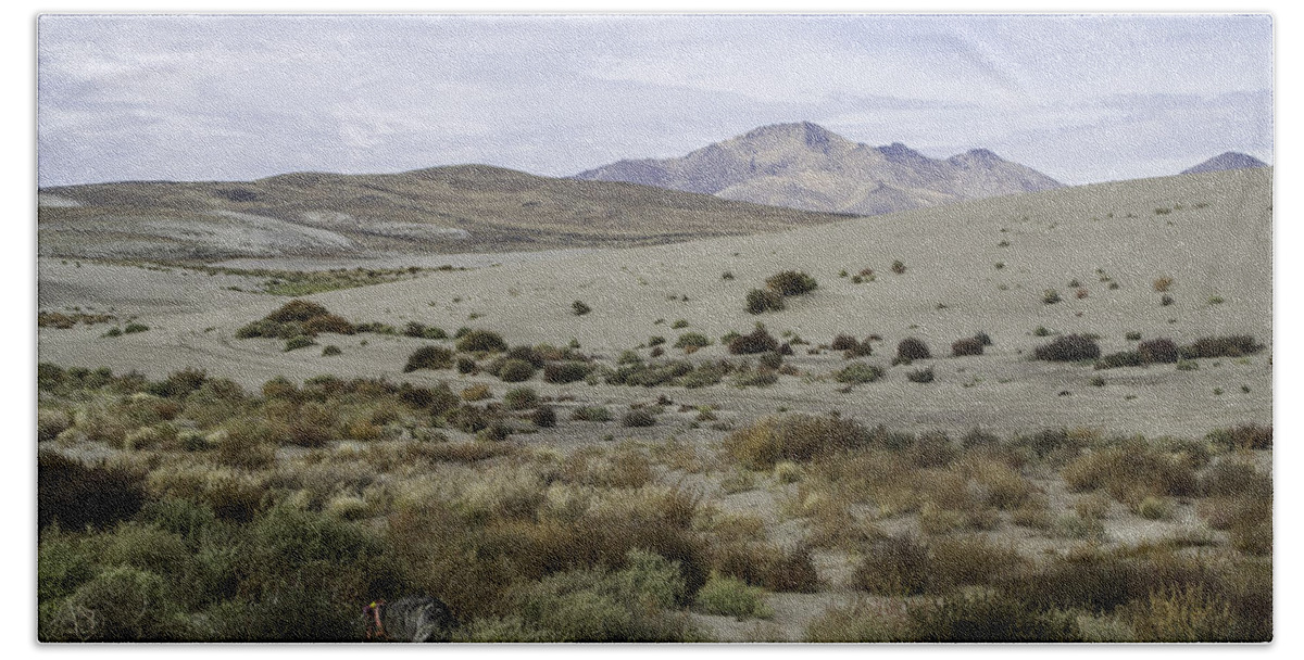 Dogs Bath Towel featuring the photograph Dunes in Winnemucca by Karen W Meyer