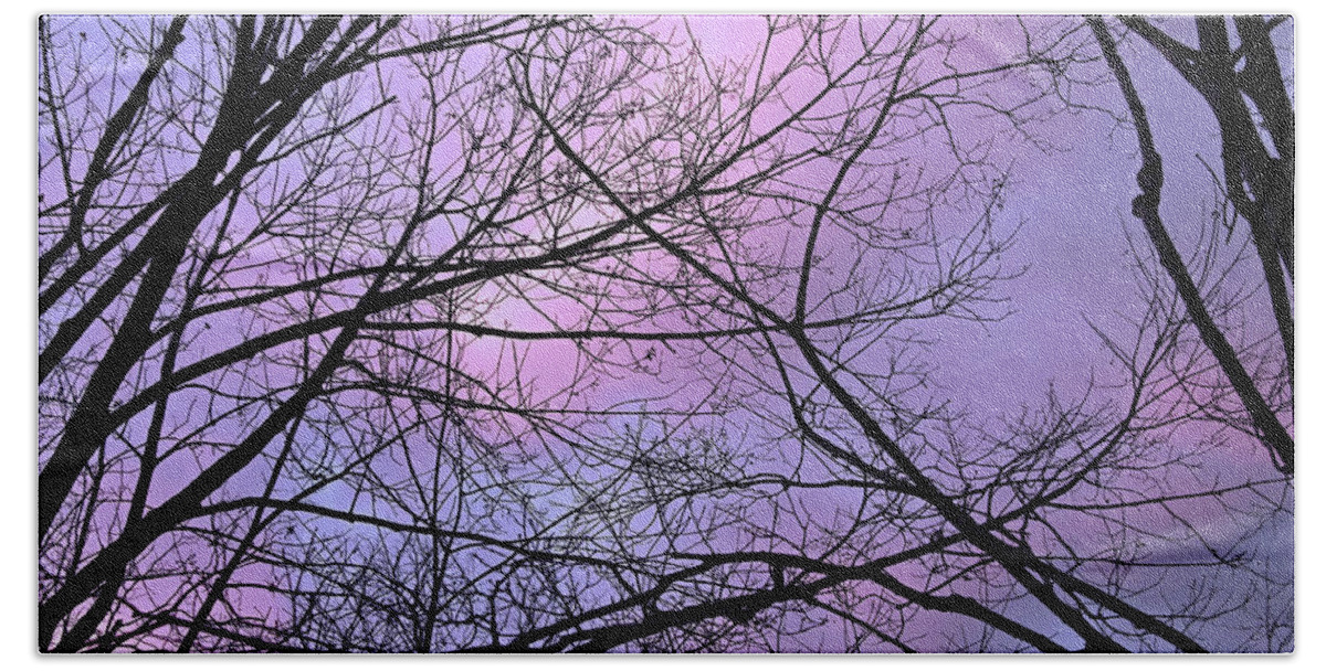Dusk Bath Towel featuring the photograph Colorful Sky Caught In Tree Web by Cora Wandel